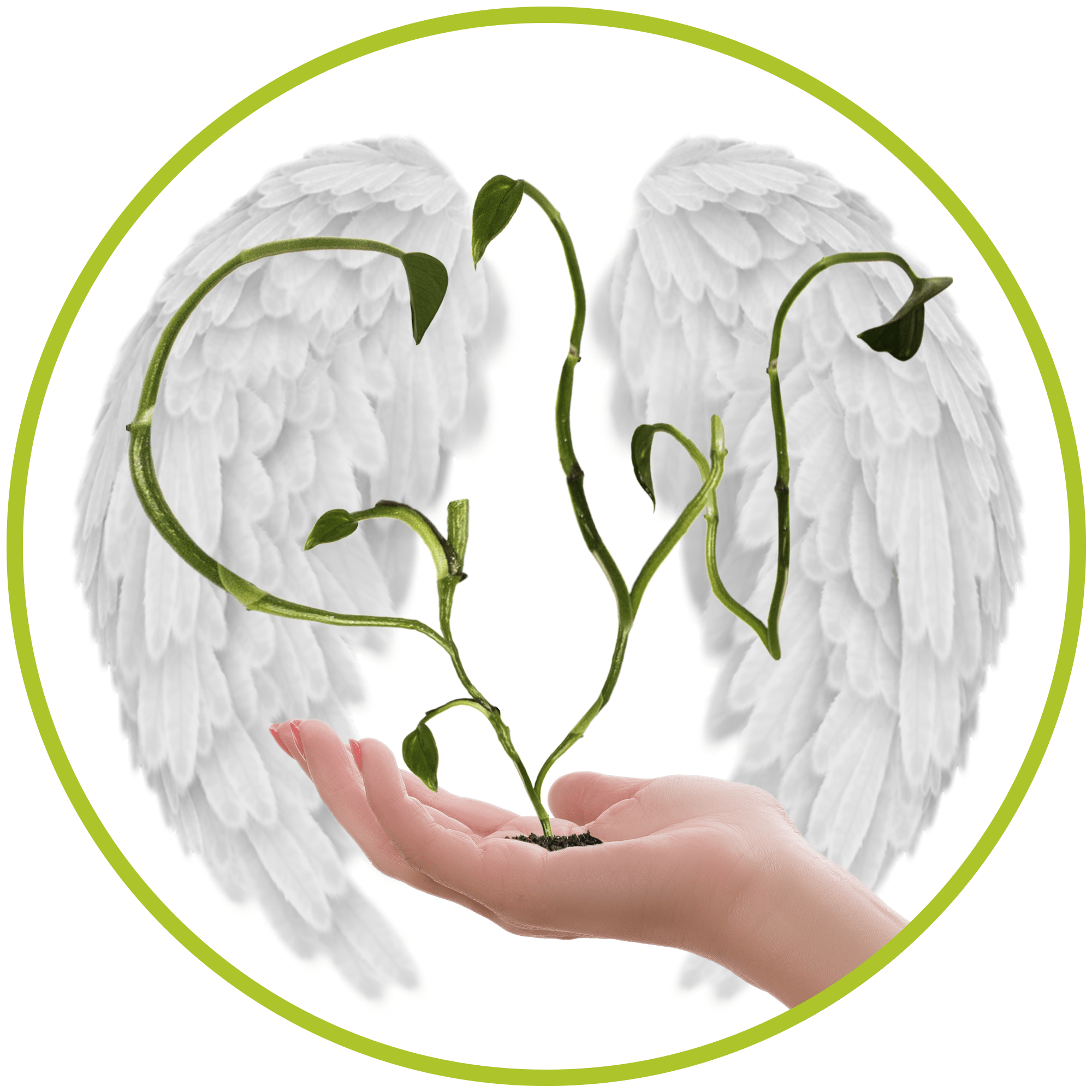 Patrikin LOGO,PIENI!